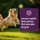 Vectra 3D – Antiparazitar Extern pentru Câini peste 40 kg, 3 Pipete – Ceva Santé Animale